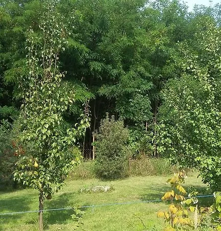 Cserkei Nyaralo